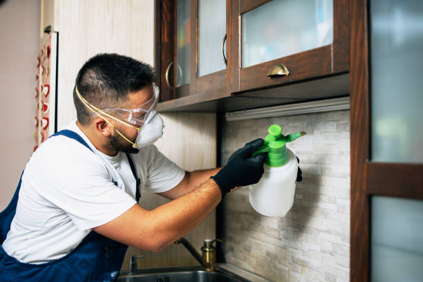 Best Best Pest Control Companies  in Lake Holiday, IN