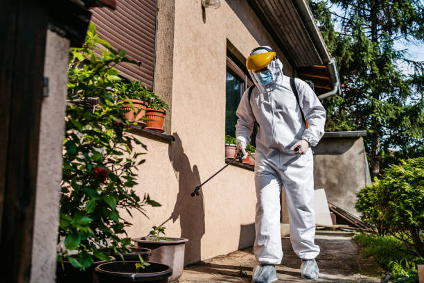 Best Flea Control Services  in Lake Holiday, IN