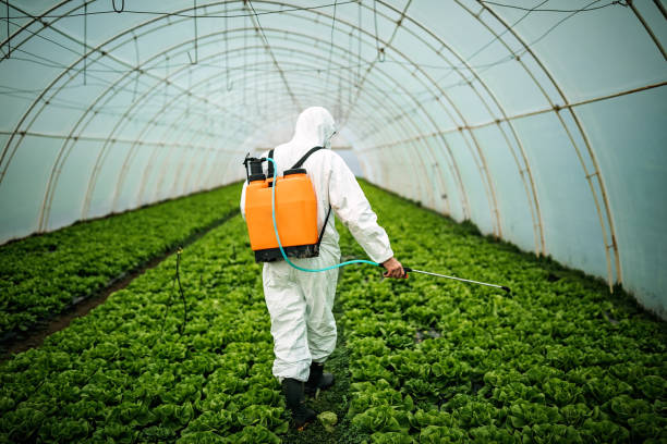 Best Local Pest Control Services  in Lake Holiday, IN
