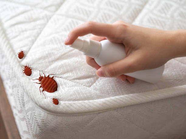 Best Affordable Pest Control Services  in Lake Holiday, IN